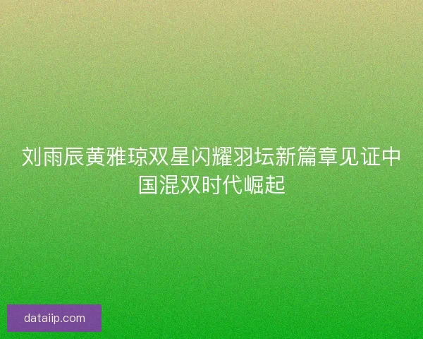 刘雨辰黄雅琼双星闪耀羽坛新篇章见证中国混双时代崛起