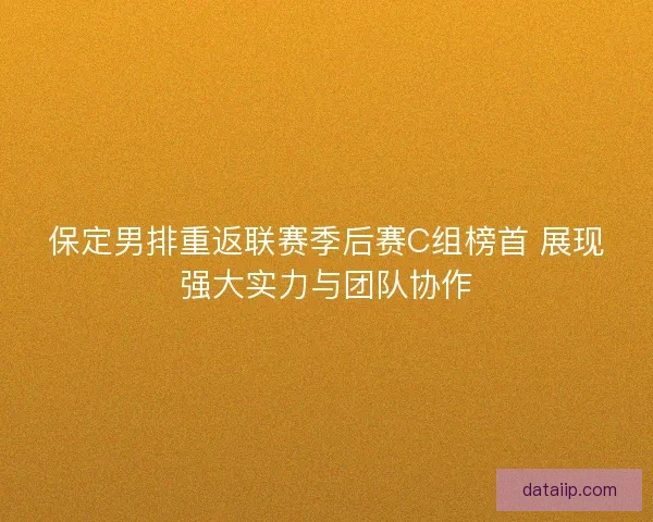 保定男排重返联赛季后赛C组榜首 展现强大实力与团队协作