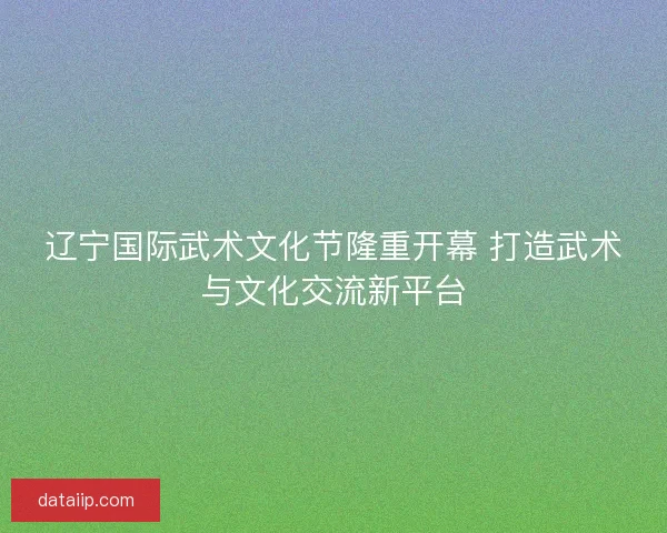 辽宁国际武术文化节隆重开幕 打造武术与文化交流新平台
